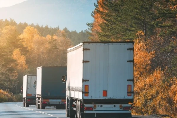 Ankara Yenipazar Nakliyat